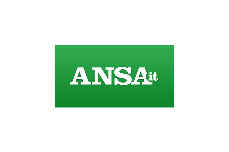 ansa